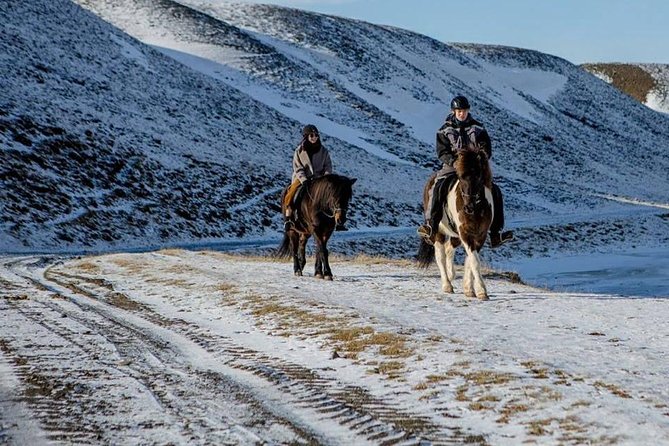 The Viking Horse Riding Experience in North Iceland - Key Points That Matter Before You Go