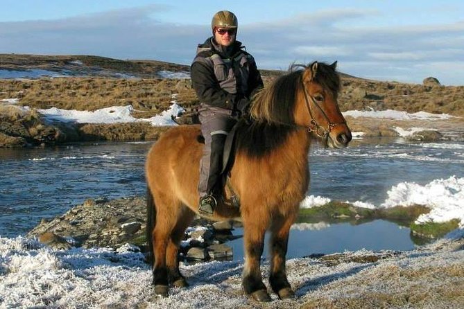 The Viking Horse Riding Experience in North Iceland - Small-Group Riding: Why Max 8 Changes the Experience