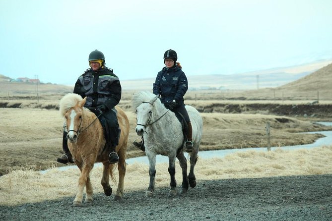 The Viking Horse Riding Experience in North Iceland - Price and Value: Is 123.75 Worth It?