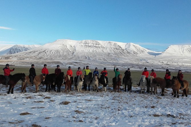 The Viking Horse Riding Experience in North Iceland - Your 90 Minutes: How the Snowy Trail and Waterfall Stop Work