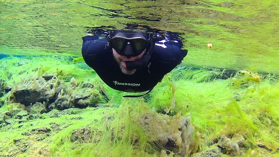 Thingvellir: Silfra Freedive Adevnture with a Guide - Thingvellir P5 meeting point, vans, and getting ready without juggling bags