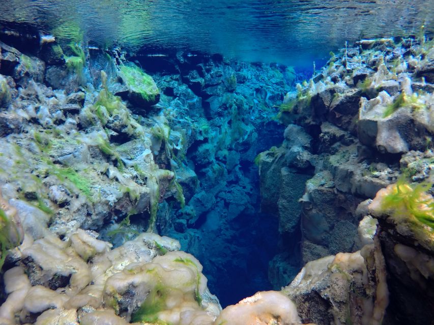 Thingvellir: Silfra Freedive Adevnture with a Guide - Price and value: what $227 includes, and what it does not