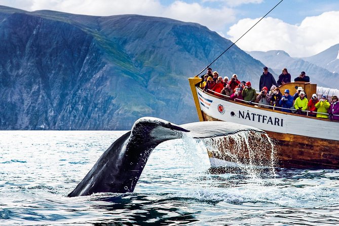 Traditional Oak Ship Whale Watching Tour From Husavik - Where You’ll Sail: Skjálfandi Bay and the Husavik Whale Reputation