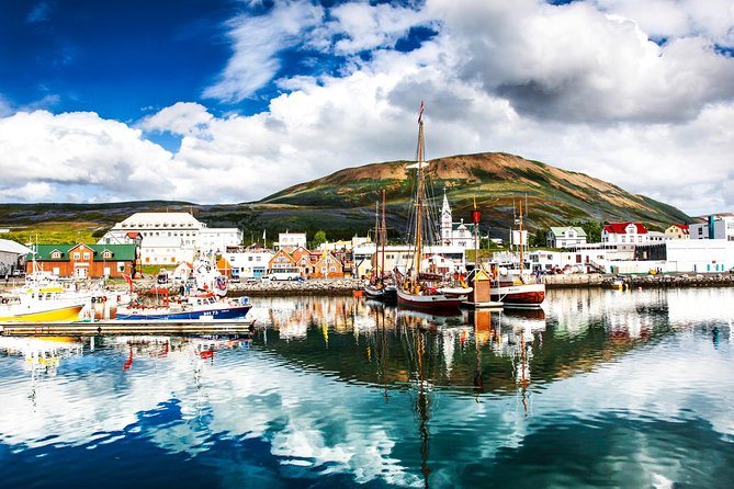 Traditional Oak Ship Whale Watching Tour From Husavik - The Actual Sighting Game: What You Might See and How Close You’ll Be