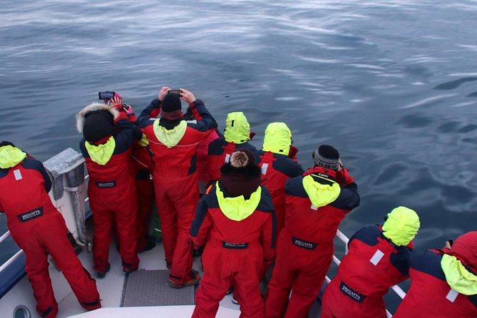Two-In-One: Whale & Puffin Watching Tours from Reykjavik - Photos and the after-moment: what you can do with your sightings