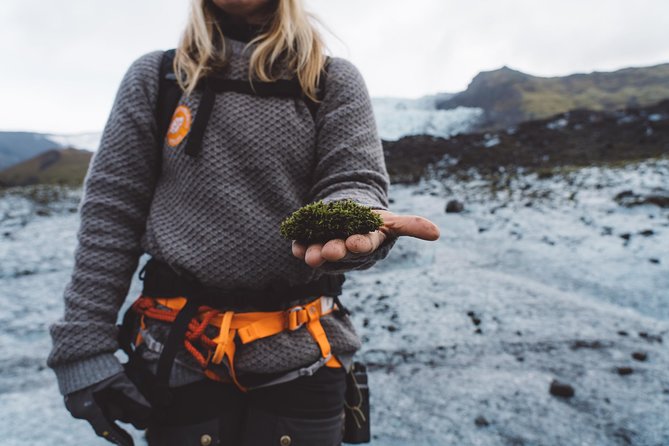 Vatnajökull Guided Beginner Glacier Walk with 4x4 Transfer - Key highlights you’ll care about