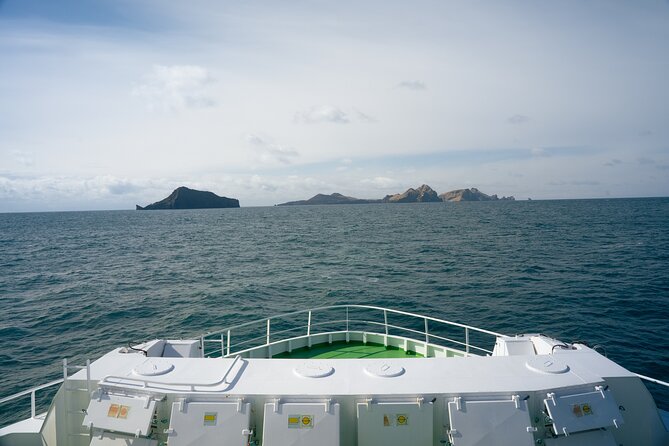 Vestmannaeyjar, Puffins & Volcanoes Small Group Day Tour - Heimaey in a single day, without the chaos