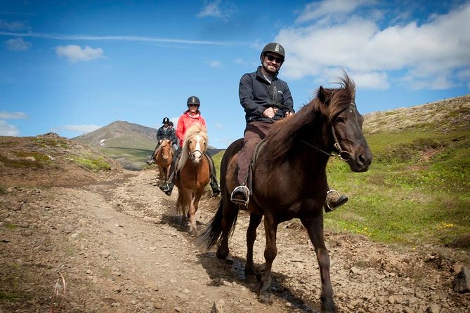 Viking Horse Riding and Golden Circle Tour from Reykjavik - Key Points You Should Know