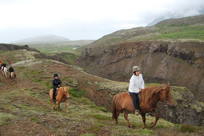 Viking Horse Riding and Golden Circle Tour from Reykjavik - Coach Comfort and the Human Factor: Your Guide Matters