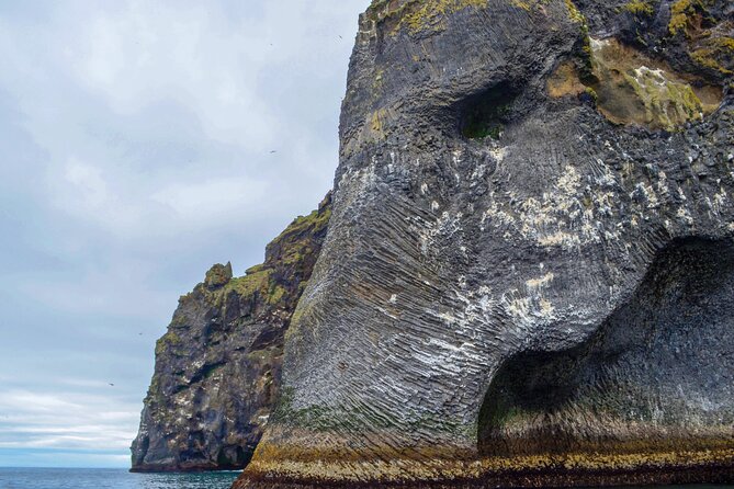 Westman Islands, Volcanoes and Puffins Small Group Tour - Westman Islands, Heimaey, and puffins: why this day feels special