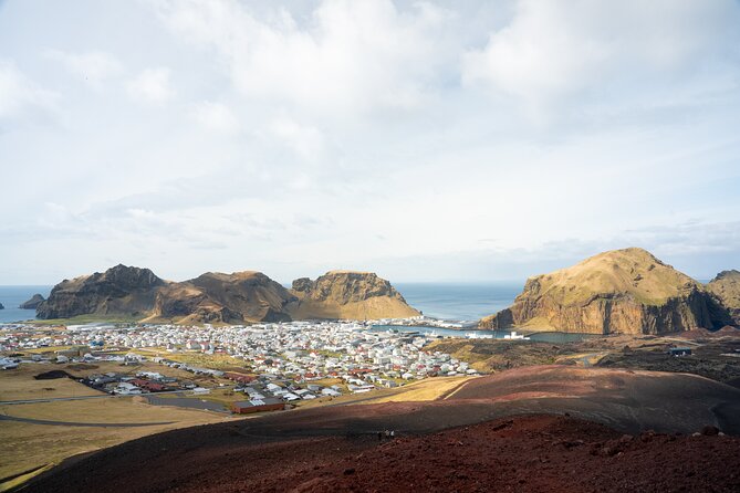 Westman Islands, Volcanoes and Puffins Small Group Tour - Group size, pacing, and what “guided” really means here