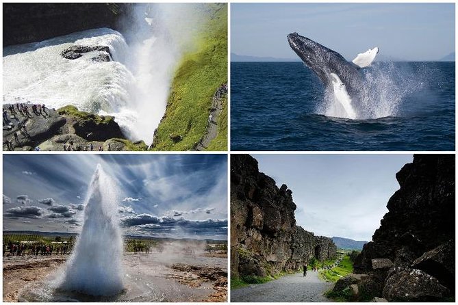 Whale Watching and Golden Circle Tour from Reykjavik - Price and value: is $192 a fair deal for this combo day?
