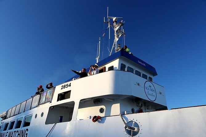 Whale Watching and Marine Life Tour in Reykjavik - Harpa, Engey, Lundey, and Viðey: Reykjavik by boat