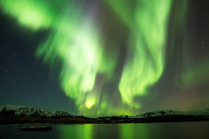 Whale Watching and Northern Lights Half-Day Combo Tour - Whale watching in daylight: what the cruise really delivers