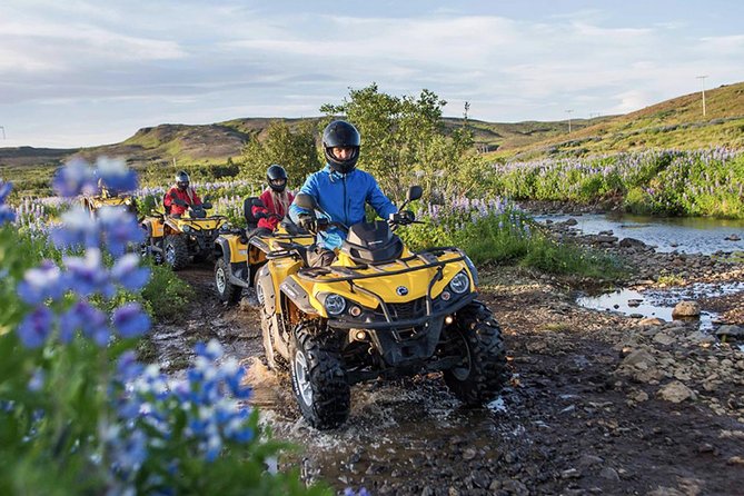Whale Watching & ATV Adventure from Reykjavik - Trading Tires for a Boat: Elding Whale Watching From Old Harbour