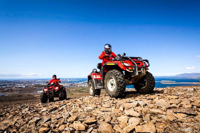 Whale Watching & ATV Adventure from Reykjavik - What the Cruise Feels Like: Wildlife, Guidance, and Weather Reality