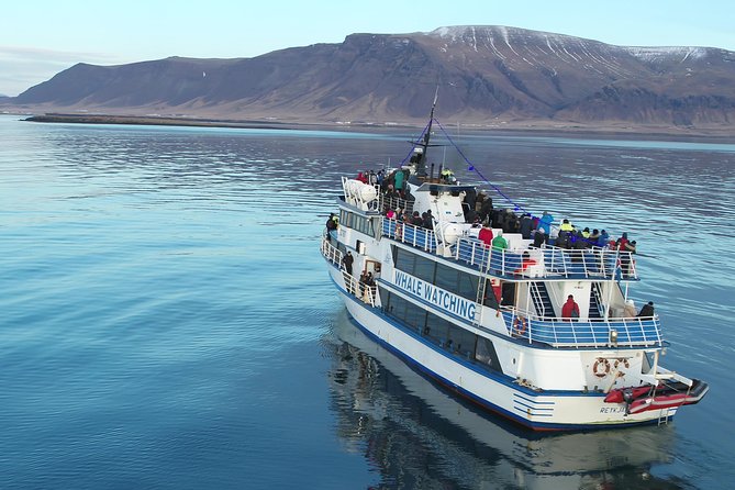 Whale-Watching Boat Tour with Expert Guide from Reykjavik - Reykjavik whale watching starts at Old Harbor