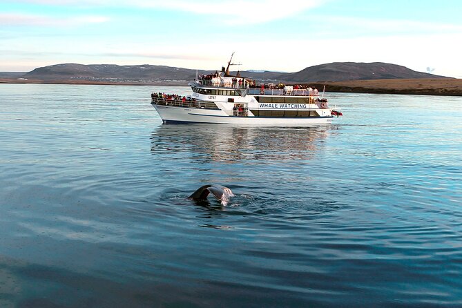 Whale-Watching Boat Tour with Expert Guide from Reykjavik - Listening, speakers, and what to do if sound is tricky