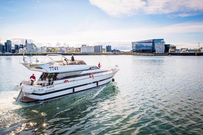 Whale Watching & Dolphin Yacht Cruise - Key Highlights I’d Prioritize on This Cruise