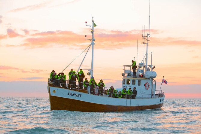 Whale Watching in Husavik - Price and Value: Is $113 a Smart Use of Your Time?