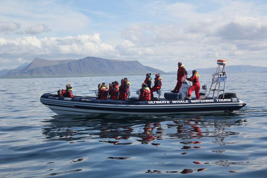Whale Watching in Reykjavik by Speedboat - FAQ