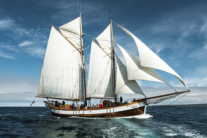 Whale Watching on a Traditional Oak Sailing Ship from Husavik - Who this tour suits best, and who might want a different match