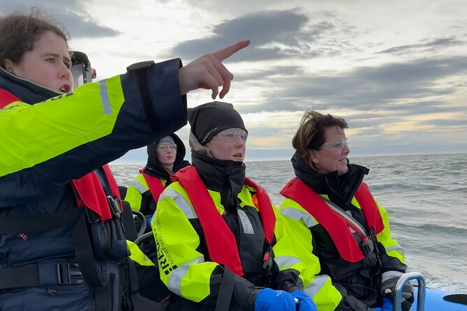 Whale Watching - RIB Boat Adventure in Kopavogur, Iceland - A RIB Boat Whale-Watching Trip That Feels Like Being Part of the Action