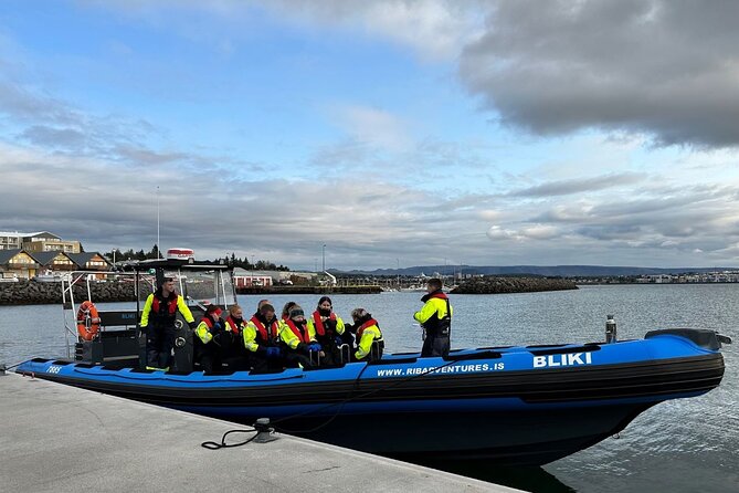 Whale Watching - RIB Boat Adventure in Kopavogur, Iceland - The Outbound Run to the Whale Area (Skerjafjörður Waters)