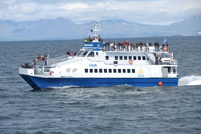Whale Watching Tour from Akureyri City Central - What the guide actually does while you’re searching