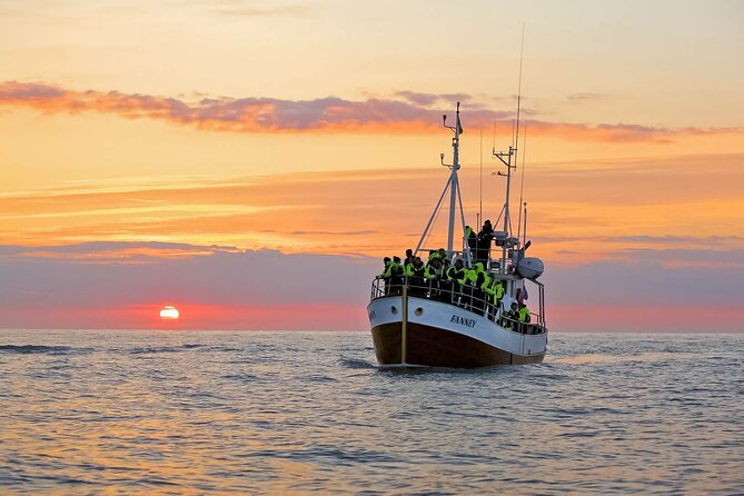 Whales and Puffins Tour from Husavik - Puffins, whales, and why Skjálfandi timing is everything