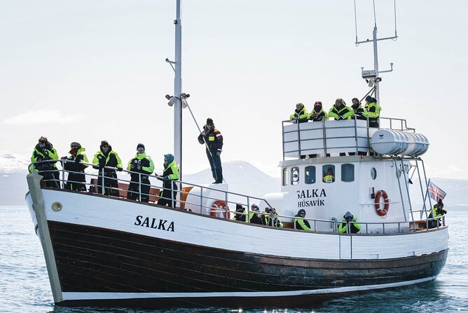 Whales and Puffins Tour from Husavik - What the 3.5 hours feels like in real life