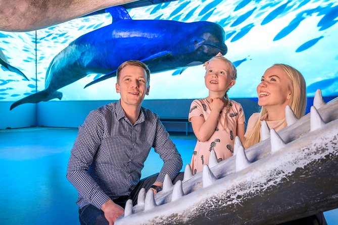 Whales Of Iceland Admission Ticket - Inside the Museum: Life-Sized Whale Models, Sound, and Interactive Exhibits
