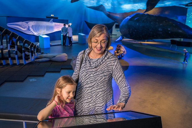 Whales Of Iceland Admission Ticket - Family-Friendly Beats: Playground, Quizzes, and Hands-On Learning