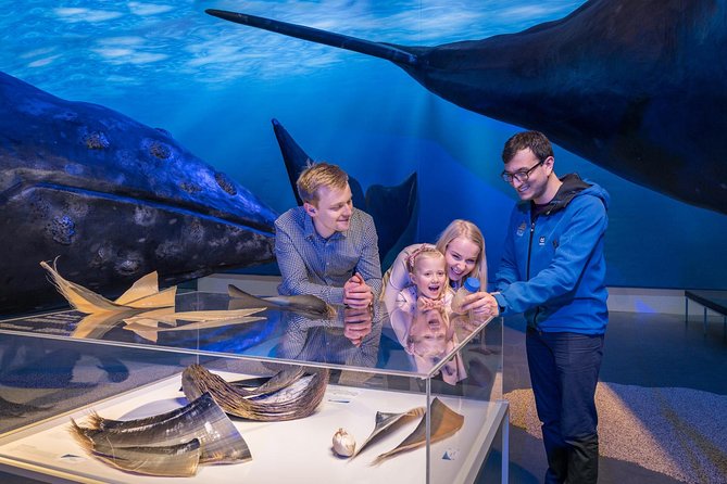 Whales of Iceland from Land and Sea - The Crowded-Boat Reality: Space, Deck Time, and Your Best Strategy