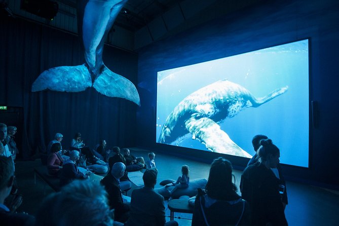 Whales of Iceland from Land and Sea - Value for the Price: Why $120.15 Can Make Sense