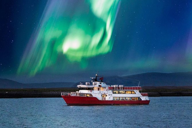 Winter Whale Watching and Northern Lights Cruise from Reykjavik - Why Elding’s Reykjavik winter combo feels like good value