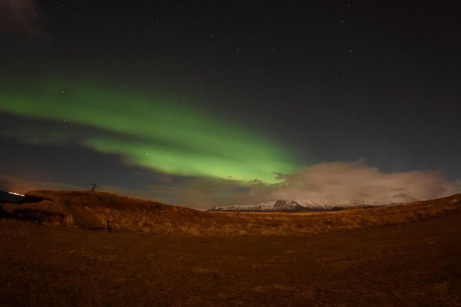 Winter Whale Watching and Northern Lights Cruise from Reykjavik - The afternoon whale watching cruise: your 3-hour chance at real marine action