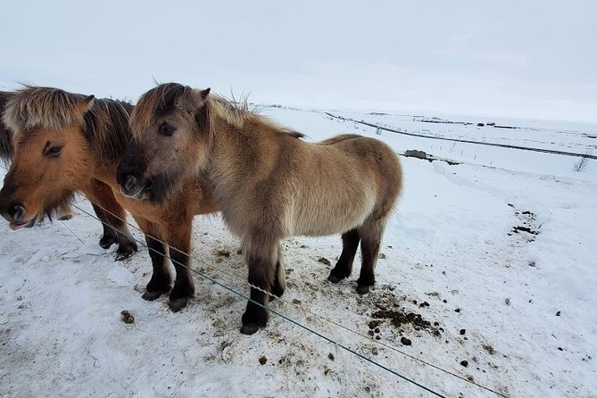 Your private golden circle tour with a personal guide - Gullfoss: the waterfall story you will remember